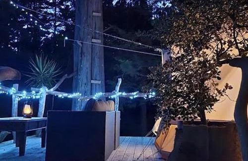Kerikeri Other | Kerikeri Glamping