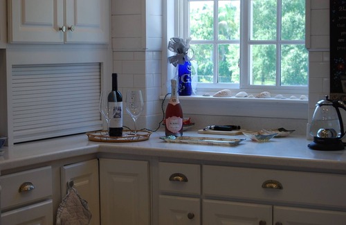 East Lake Cottage | Key West Style Cottage on 2.5 Acre Estate (Secluded)- Very quiet -Tarpon Springs