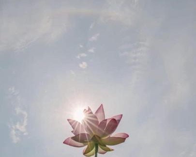 Vinh Hai Hotel | Khách Sạn Flower Sky Nha Trang