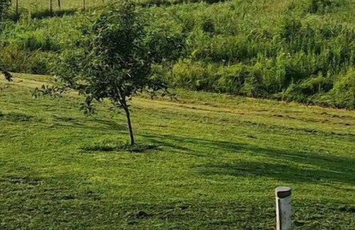 Metamora Cabin | Khaki Suite - Duck Creek Inn - Metamora