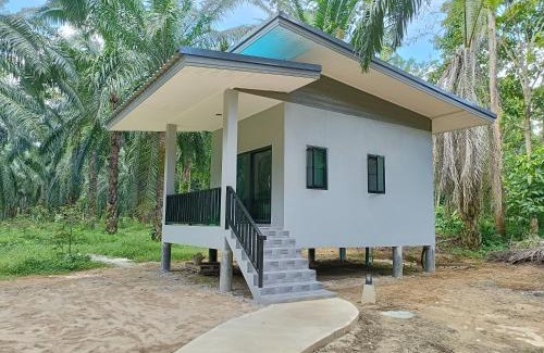 Khlong Sok Hotel | Khao Sok Green Garden Resort