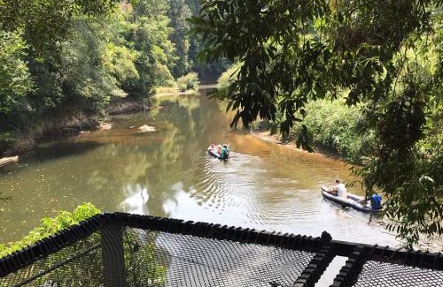 Khlong Sok Other | Khaosok River Camp