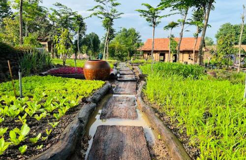 Chau Duc Other | Khu Nghỉ dưỡng Sinh thái Nhà Lụa Retreat