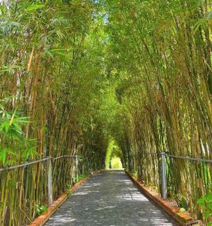 Chau Duc Hotel | Khu Nghỉ Dưỡng Sinh Thái Charm Eco Retreat