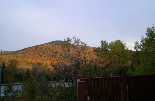 Killington Cabin | Killington/Mendon CLEAN, 1 bedroom cabin