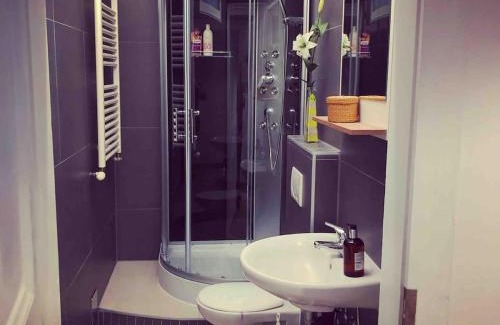 Himmelpfortgrund Apartment | King bed free parking fast wifi pet friendly