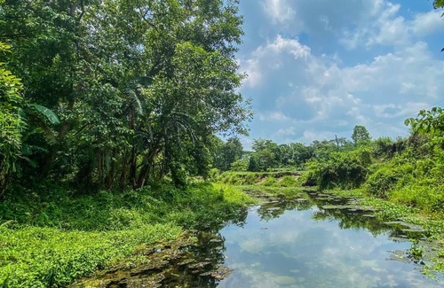 Meghauli Cabin | King Jungle Walk Safari & Home Stay