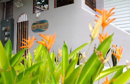 Ocean Park Apartment | King Sling Room, Between Pool And Jacuzzi - Enjoy!