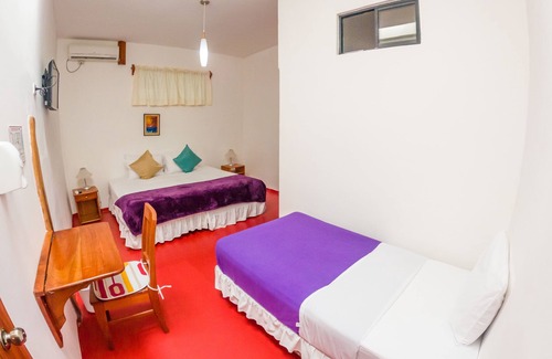 Puerto Ayora House | King Studio with Sofa Bed