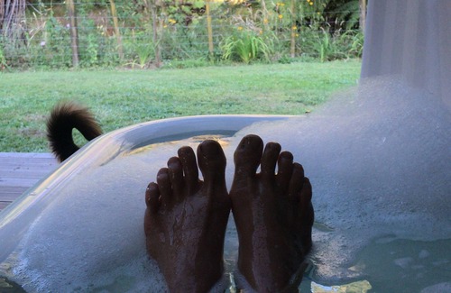 Katikati Cottage | Kingfisher cottage @ Villa Vie country estate.nOutdoor bath, fire pit, river