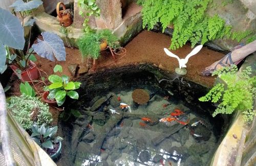 Anniwatta Apartment | Kingfisher nest