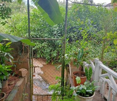Anniwatta Apartment | Kingfisher nest