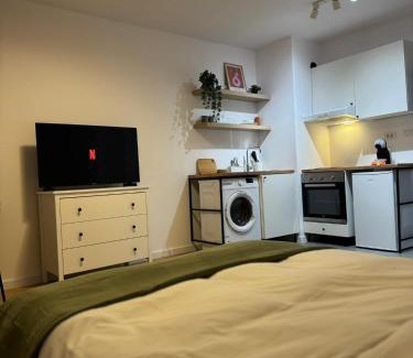 Kiseleff Apartment | Kiseleff Park Studio - Piata Victoriei
