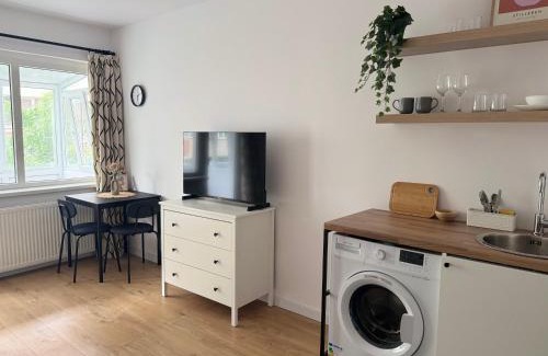 Kiseleff Apartment | Kiseleff Park Studio - Piata Victoriei