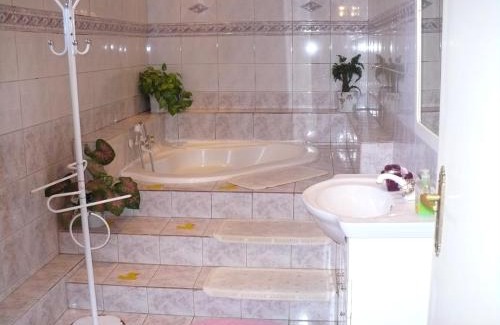 Miskolc-Tapolca Apartment | Kitty Apartman