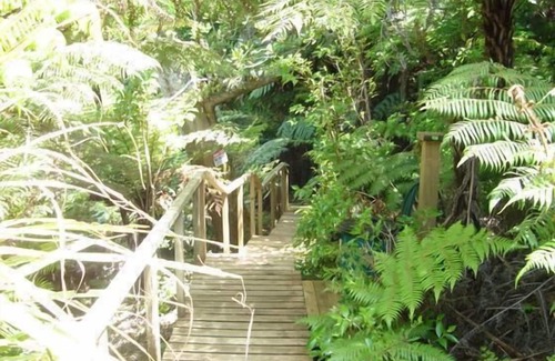 Kawau Island House | Kiwi Bach, Kawau Island