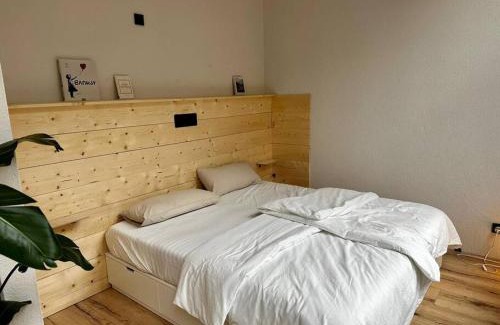 Eisenach Apartment | Kleiner Saal im Villenviertel