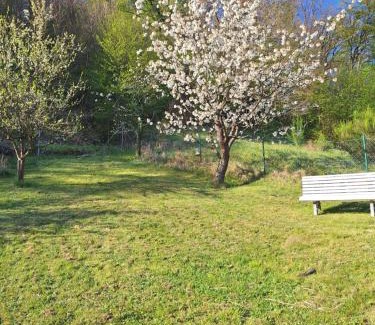 Ortenberg Apartment | Kleines Domizil am Südhang