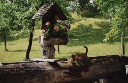 Rossleithen House | Kleines Ferienhaus Koglerhütte