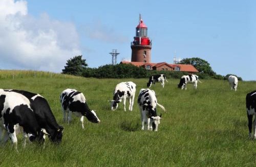 Hohen Niendorf House | Kleinis Ferienhof Hohen Niendorf bei Ostseebad Kühlungsborn