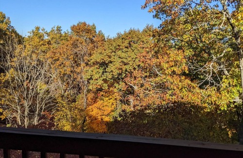 Branson West Condo | Knotty Pine Retreat-Free Boat Parking 1mi to SDC
