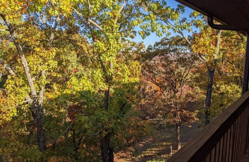 Branson West Condo | Knotty Pine Retreat-Free Boat Parking 1mi to SDC