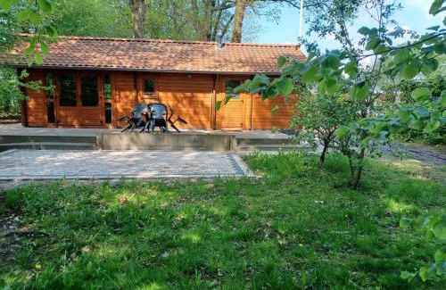 Epe House | Knusse blokhut op groot en groen perceel @ Veluwe