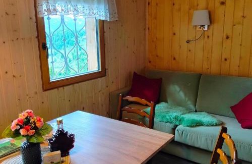 Kamnik Ski Chalet | Koča Velika Planina - Chalet Kamrica