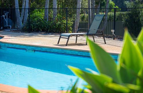 Port Macquarie House | Koalas at Links Lighthouse Beach