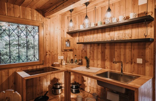 Kamnik Ski Chalet | Koca Bistra - Velika planina
