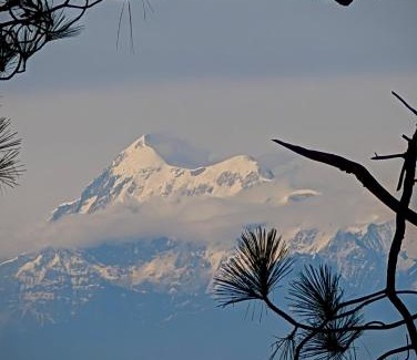 Ranikhet Bed & Breakfast | Koklass Stay Manila