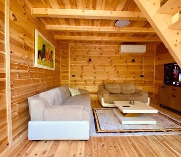 Kolasin Municipality House | Kolasin Home Maja
