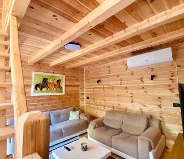 Kolasin Municipality House | Kolasin Home Maja