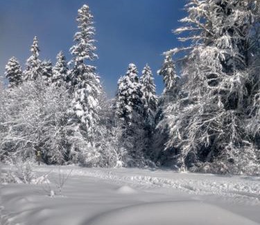 Maritsa Apartment | Kolimechkov Apartments Borovets