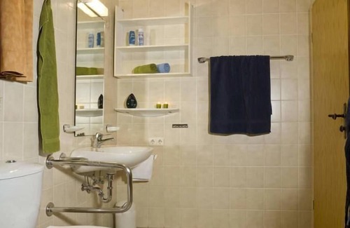 Aichmuhle Apartment | Komfortables Einraumappartement (31qm) mit kombiniertem Wohnschlafraum