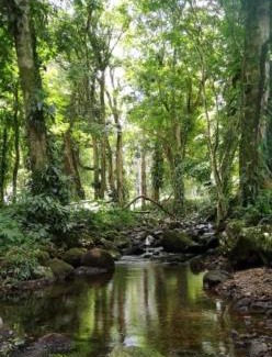 Jimenez Apartment | Kono Rainbow Finca paraíso
