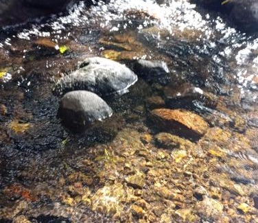 Jimenez Apartment | Kono Rainbow Finca paraíso