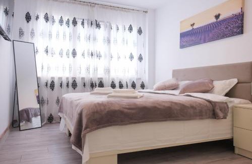 Iasi Apartment | Konstanzer Podu Ros 11 - 3 camere,bucatarie, aer conditionat,masina de spalat