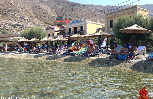 Pedi House | Korali