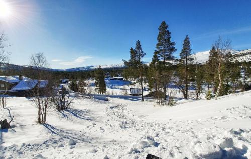 Bykle House | Koselig Fjellhytte Med Utsikt
