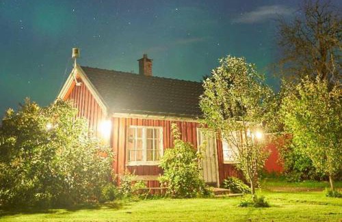 Oslo House | Koselig hytte på gårdstun i Oslo