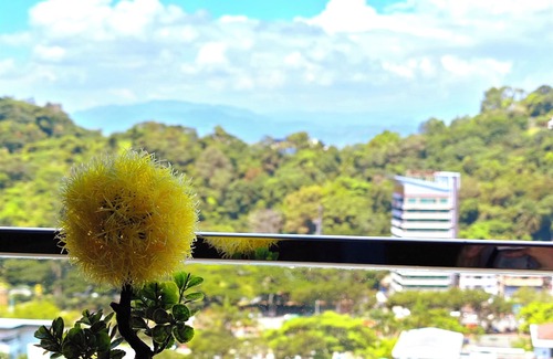 Downtown Kota Kinabalu Condo | Kota Kinabalu The Shore Center Of KK Cityview 3-4pax