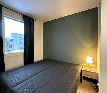 Seinajoki Apartment | Kotimaailma Apartments #6 - Hieno ja tilava kaksio keskustassa
