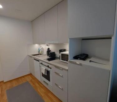 Lantinen District Apartment | Kotimaailma - Tyylikäs kaksio modernilla keittiöllä