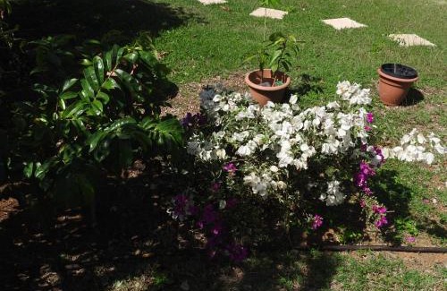 Saint Felix House | Kreyol Eden Cottage