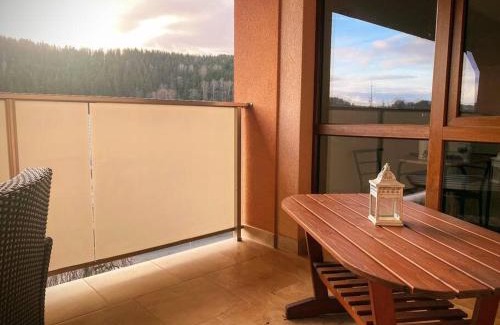Kraslice Apartment | Krušnohorský apartmán