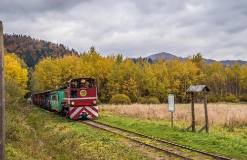 Cisna Cabin | Krzywy Zakątek