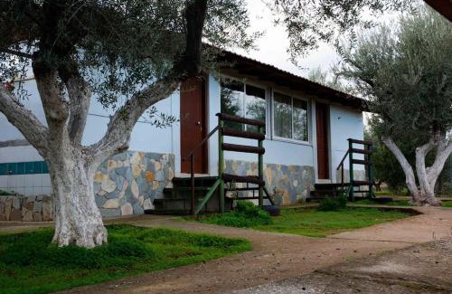 Velon House | Ktima Paradise