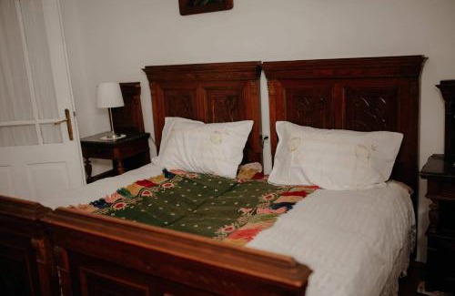 Zupanja Villa | Kuća za odmor "Šokačka lady"