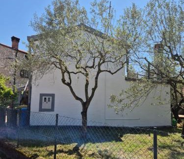 Cepljani Apartment | KUĆA ZA ODMOR PETRA